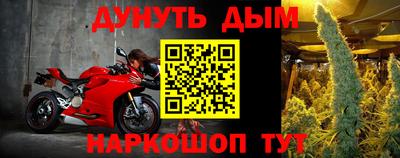 прущие крисы Малгобек