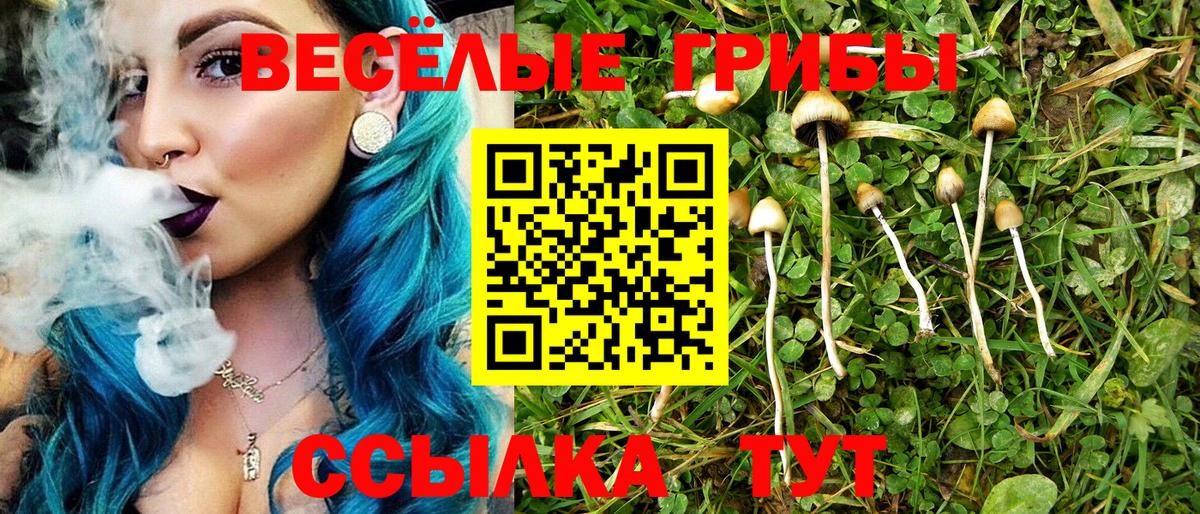 Учалы  Псилоцибиновые грибы Psilocybine cubensis  Вход с VPN  Галлюциногенные грибы Cubensis 